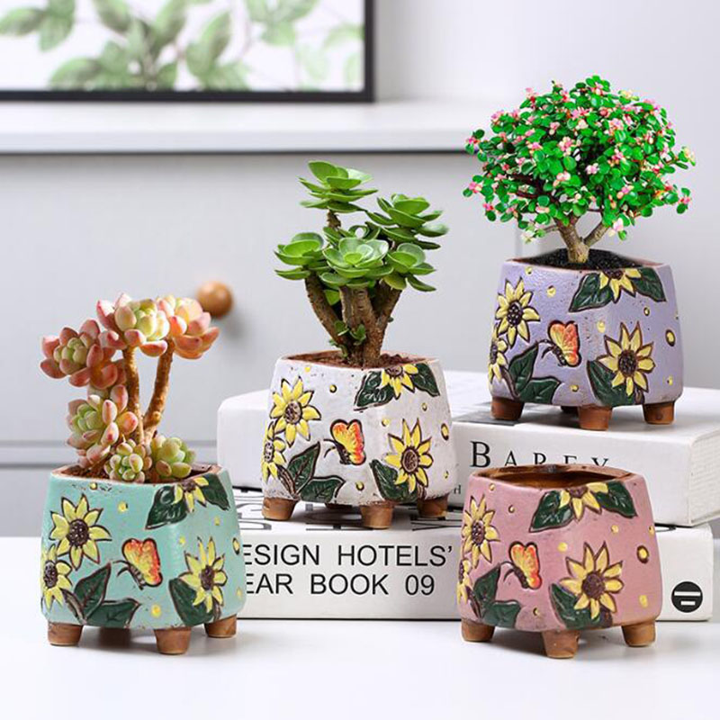 Korean Style Sunflower Pattern - Echeveria Succulent recension och pris