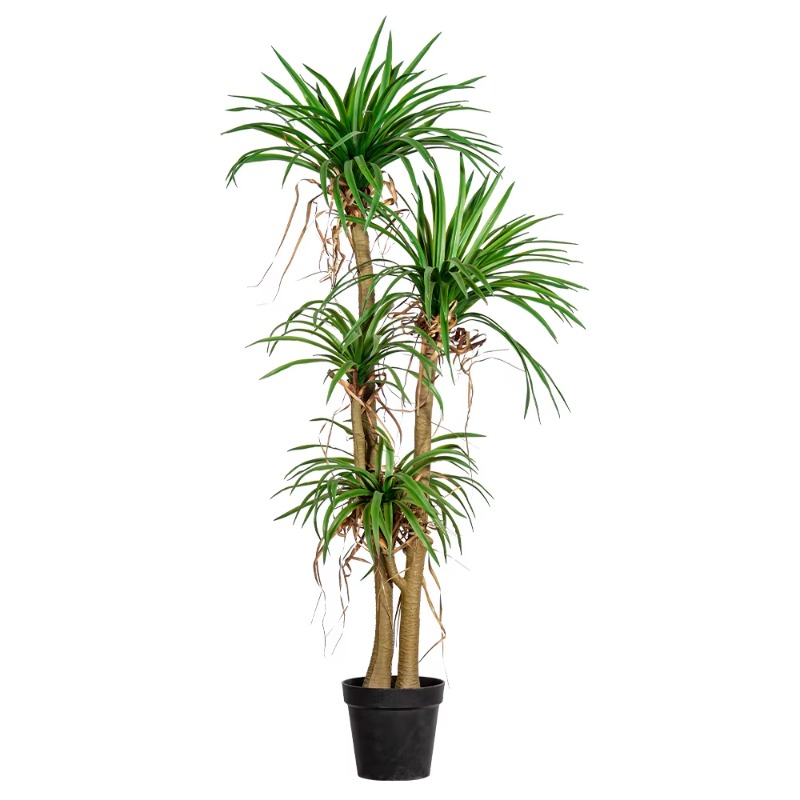 Indoor/Outdoor Home Tree Simul - Dracaena Marginata recension och pris