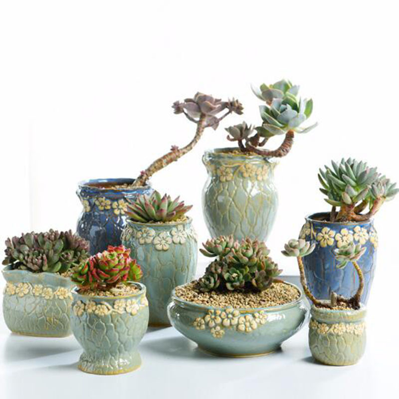 Succulent Plants Flowerpot Sma - Echeveria Succulent recension och pris