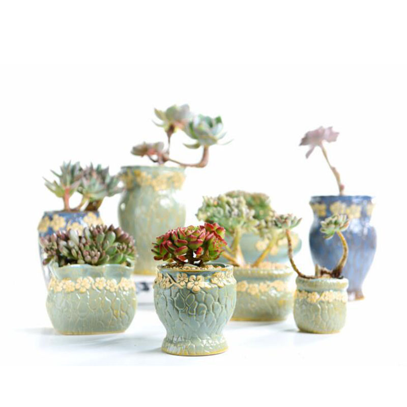Succulent Plants Flowerpot Sma - Echeveria Succulent recension och pris