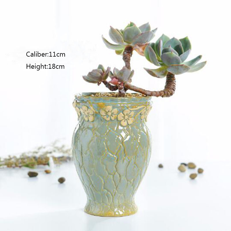 Succulent Plants Flowerpot Sma - Echeveria Succulent recension och pris