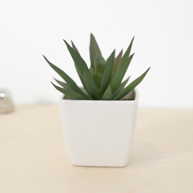 Mini Artificial Succulent Fair - Echeveria Succulent recension och pris
