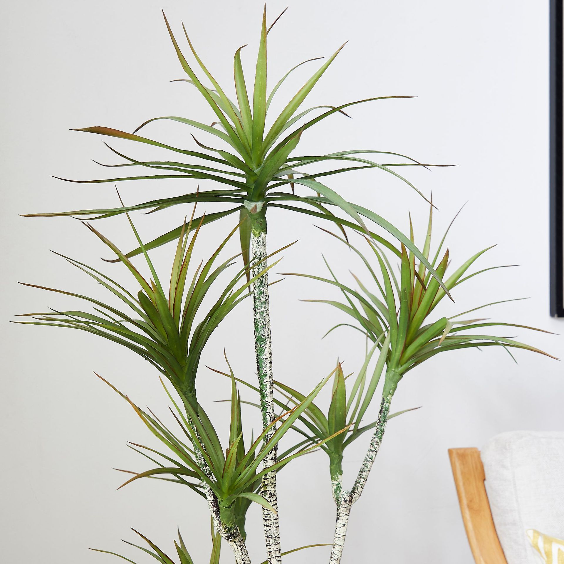 Artificial Plastic Potted ​Pla - Dracaena Marginata recension och pris