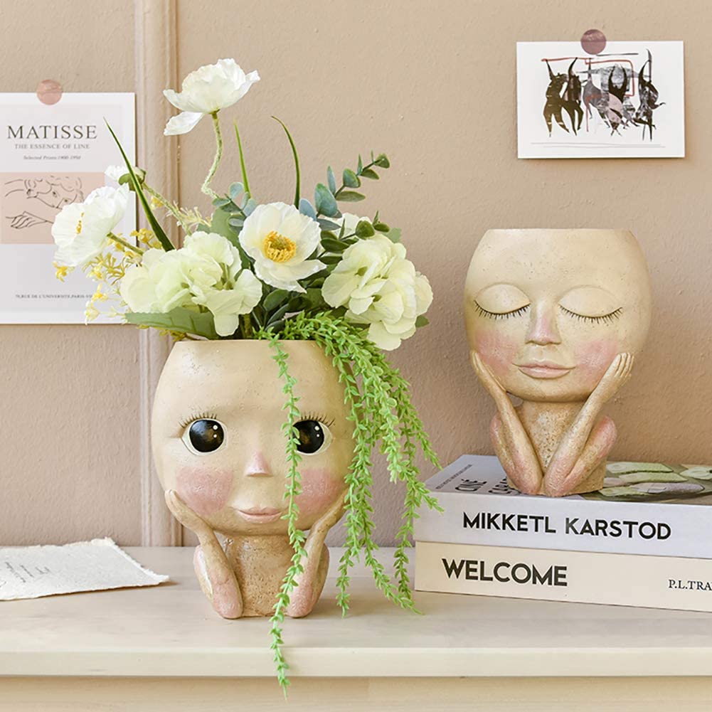 Girls Face Head Flower Planter - Echeveria Succulent recension och pris